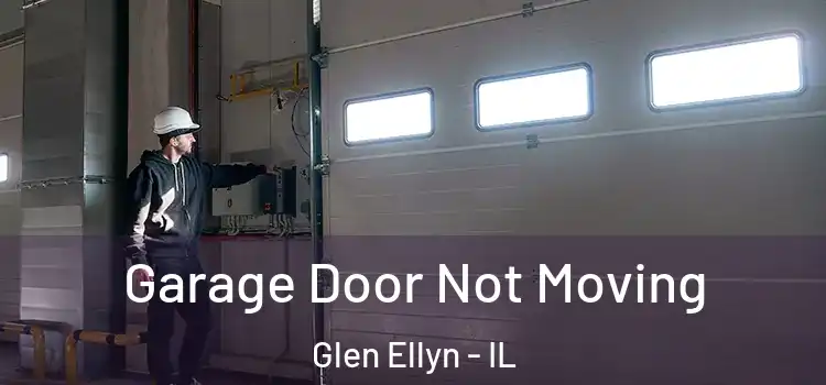  Garage Door Not Moving Glen Ellyn - IL