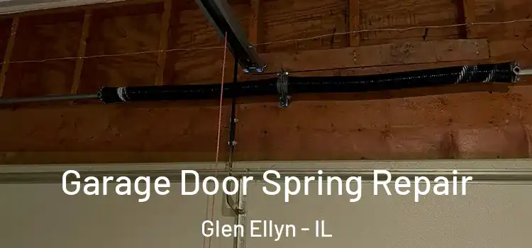  Garage Door Spring Repair Glen Ellyn - IL