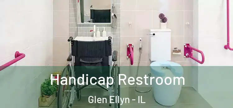 Handicap Restroom Glen Ellyn - IL