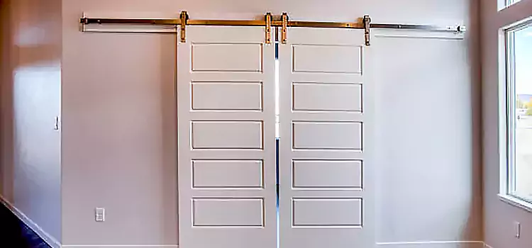 Glass Barn Door with Installation Hardware Kit Glen Ellyn