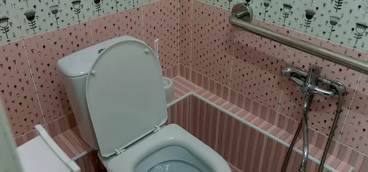 Meeting Diverse Needs With Accessible Restroom Solutions in Glen Ellyn, IL