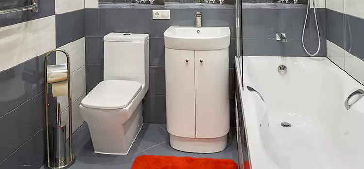 Hansgrohe Shaving Mirror Glen Ellyn