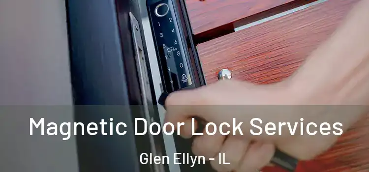 Magnetic Door Lock Services Glen Ellyn - IL